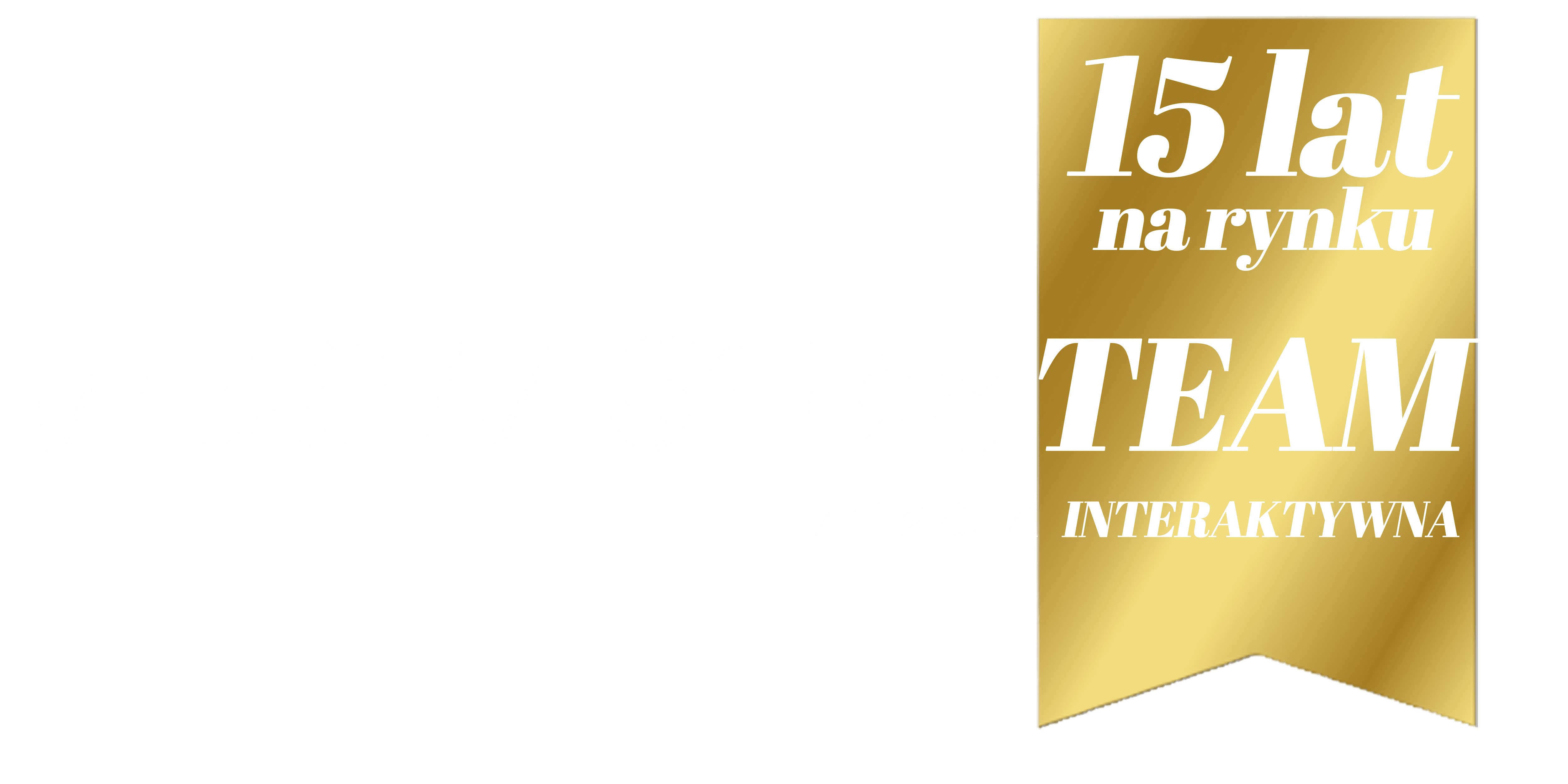 Webmaster Team - Tworzenie stron internetowych, sklepów internetowych, opieka nad stroną sklepem, pozycjonowanie
